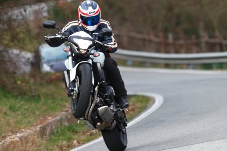 hornet wheelie